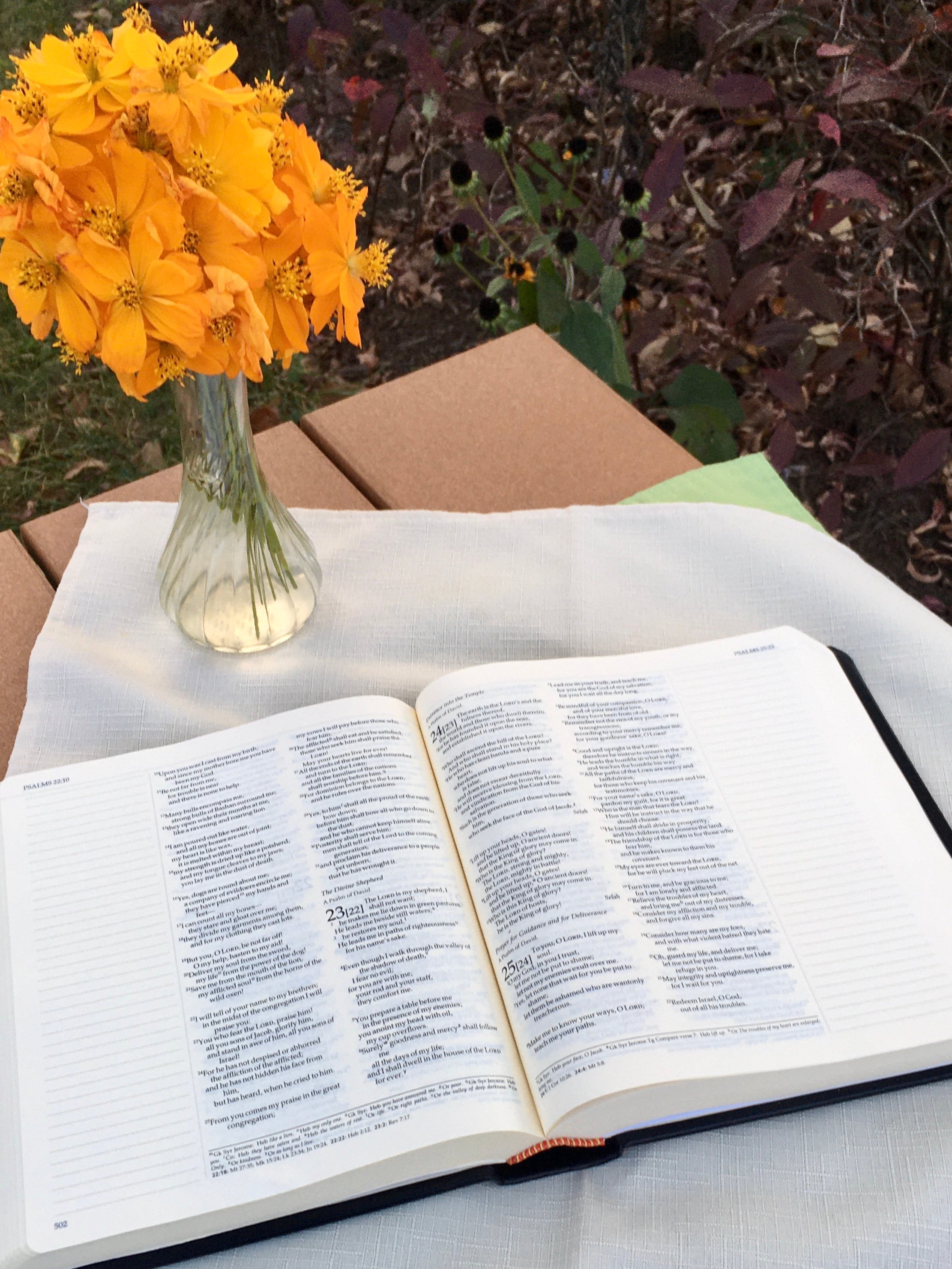 Book Notes Ignatius NoteTaking and Journaling Bible